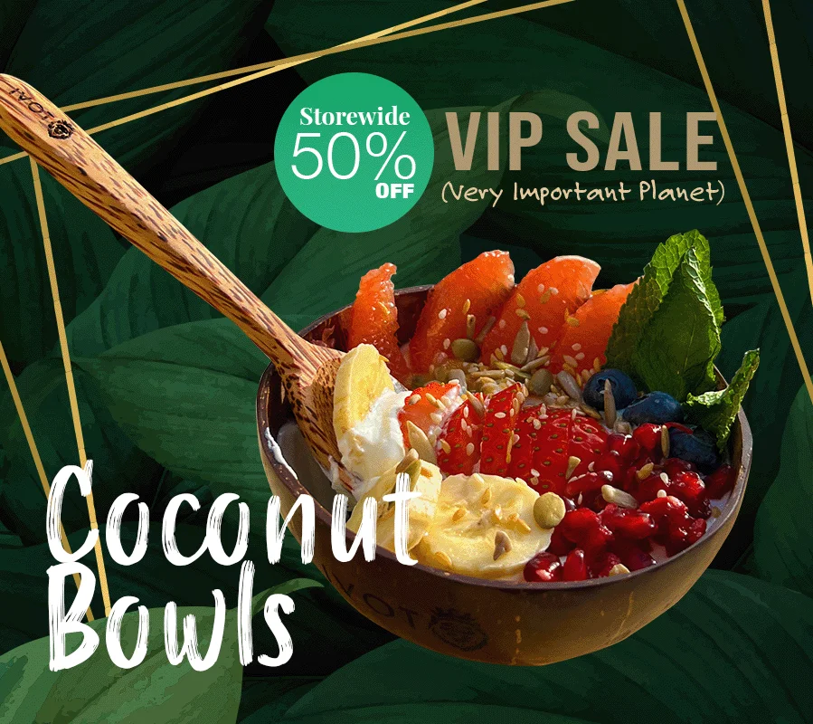 tovi gifts VIPlanet promotion 50percent off sale - Handmade coconut bowls from Sri lanka